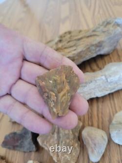 Chèvre de montagne + Art rupestre de l'effigie en pierre amérindienne, artefacts, outils