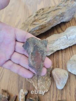 Chèvre de montagne + Art rupestre de l'effigie en pierre amérindienne, artefacts, outils