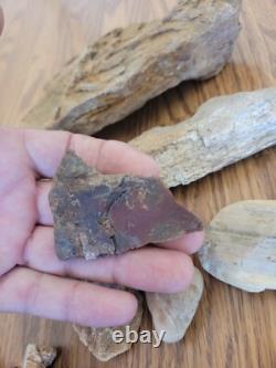 Chèvre de montagne + Art rupestre de l'effigie en pierre amérindienne, artefacts, outils