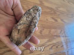 Coyote, Têtes de Moutons, Effigies en Pierre Amérindiennes, Art Rupestre, Artefacts, Outils