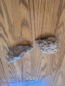 Coyote, Têtes de Moutons, Effigies en Pierre Amérindiennes, Art Rupestre, Artefacts, Outils