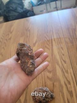 Coyote, Têtes de Moutons, Effigies en Pierre Amérindiennes, Art Rupestre, Artefacts, Outils