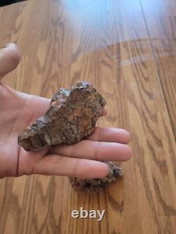 Coyote, Têtes de Moutons, Effigies en Pierre Amérindiennes, Art Rupestre, Artefacts, Outils