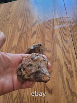 Coyote, Têtes de Moutons, Effigies en Pierre Amérindiennes, Art Rupestre, Artefacts, Outils