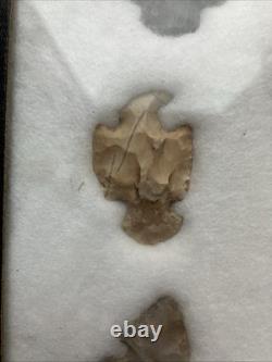 Crochets et autres outils d'animaux authentiques des Amérindiens