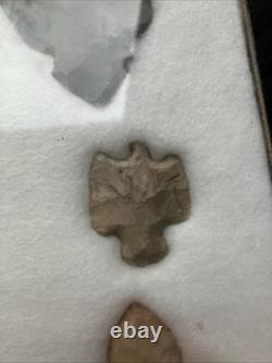 Crochets et autres outils d'animaux authentiques des Amérindiens