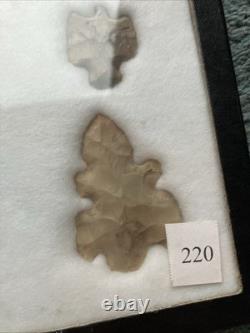 Crochets et autres outils d'animaux authentiques des Amérindiens