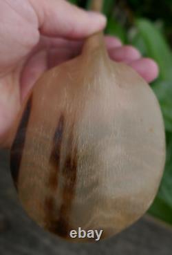 Cuillères en corne courbée et sculptées des Tlingit du début du 20e siècle avec de la nacre