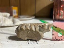 Effigie d'ours des premiers Amérindiens