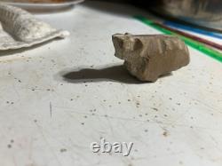 Effigie d'ours des premiers Amérindiens