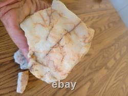 Effigie de chien en cristal de quartz, art rupestre amérindien, artefacts, outils