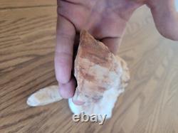 Effigie de chien en cristal de quartz, art rupestre amérindien, artefacts, outils