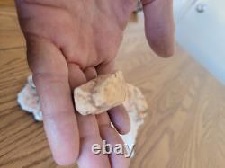 Effigie de chien en cristal de quartz, art rupestre amérindien, artefacts, outils