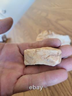 Effigie de chien en cristal de quartz, art rupestre amérindien, artefacts, outils