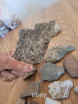 Effigie en pierre de lapin argenté des Indiens Amérindiens, art rupestre, artefacts, outils