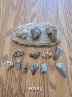 Effigie en pierre de serpent / oiseau des Indiens d'Amérique, art rupestre, artefacts, outils