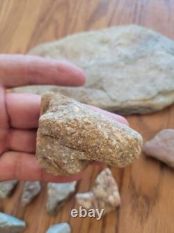 Effigie en pierre de serpent / oiseau des Indiens d'Amérique, art rupestre, artefacts, outils