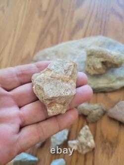 Effigie en pierre de serpent / oiseau des Indiens d'Amérique, art rupestre, artefacts, outils