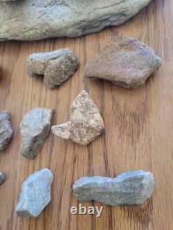 Effigie en pierre de serpent / oiseau des Indiens d'Amérique, art rupestre, artefacts, outils