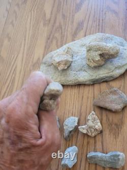 Effigie en pierre de serpent / oiseau des Indiens d'Amérique, art rupestre, artefacts, outils