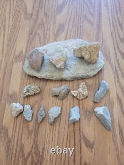 Effigie en pierre de serpent / oiseau des Indiens d'Amérique, art rupestre, artefacts, outils