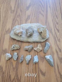 Effigie en pierre de serpent / oiseau des Indiens d'Amérique, art rupestre, artefacts, outils