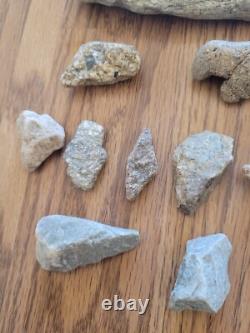 Effigie en pierre de serpent / oiseau des Indiens d'Amérique, art rupestre, artefacts, outils