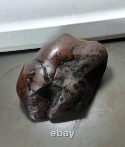 Effigies paléo-indiennes : créatures mystérieuses s'attaquant mutuellement