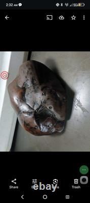 Effigies paléo-indiennes : créatures mystérieuses s'attaquant mutuellement