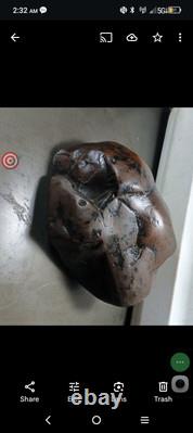 Effigies paléo-indiennes : créatures mystérieuses s'attaquant mutuellement