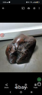 Effigies paléo-indiennes : créatures mystérieuses s'attaquant mutuellement