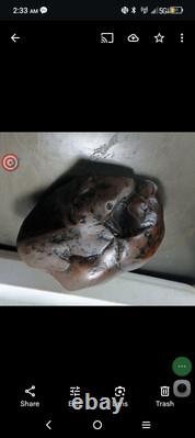 Effigies paléo-indiennes : créatures mystérieuses s'attaquant mutuellement