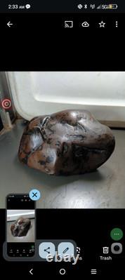 Effigies paléo-indiennes : créatures mystérieuses s'attaquant mutuellement