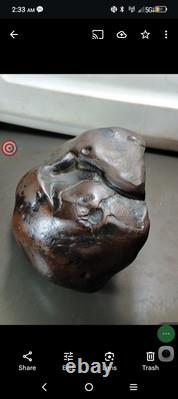 Effigies paléo-indiennes : créatures mystérieuses s'attaquant mutuellement