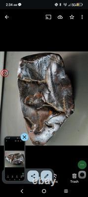 Effigies paléo-indiennes : créatures mystérieuses s'attaquant mutuellement