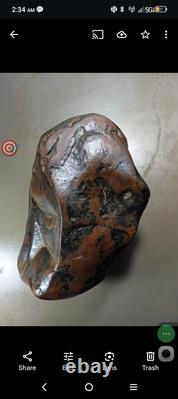 Effigies paléo-indiennes : créatures mystérieuses s'attaquant mutuellement