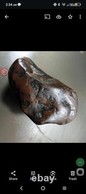 Effigies paléo-indiennes : créatures mystérieuses s'attaquant mutuellement