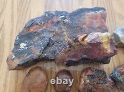 Égide en Bois Pétrifié / Anvil Effigie d'Aigle / Ours Artéfact de l'Art Rupestre Amérindien