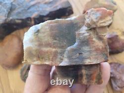 Égide en Bois Pétrifié / Anvil Effigie d'Aigle / Ours Artéfact de l'Art Rupestre Amérindien