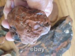 Égide en Bois Pétrifié / Anvil Effigie d'Aigle / Ours Artéfact de l'Art Rupestre Amérindien
