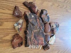 Égide en Bois Pétrifié / Anvil Effigie d'Aigle / Ours Artéfact de l'Art Rupestre Amérindien