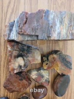 Égide en Bois Pétrifié / Anvil Effigie d'Aigle / Ours Artéfact de l'Art Rupestre Amérindien