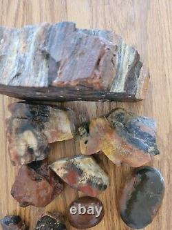 Égide en Bois Pétrifié / Anvil Effigie d'Aigle / Ours Artéfact de l'Art Rupestre Amérindien