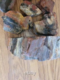 Égide en Bois Pétrifié / Anvil Effigie d'Aigle / Ours Artéfact de l'Art Rupestre Amérindien