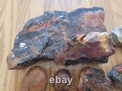 Égide en Bois Pétrifié / Anvil Effigie d'Aigle / Ours Artéfact de l'Art Rupestre Amérindien
