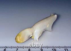 Fétiche en coquille de MOP à lèvres dorées zuni par David Tsikewa (d.)