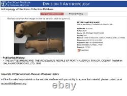 Fétiche en pierre sculpté d'ours natif Zuni rare et fin du 19ème siècle, 3,27 pouces de long