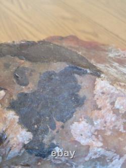 Fossile de hache géante, effigie en pierre amérindienne, art rupestre, artefacts, outils