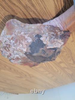 Fossile de hache géante, effigie en pierre amérindienne, art rupestre, artefacts, outils