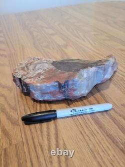 Fossile de hache géante, effigie en pierre amérindienne, art rupestre, artefacts, outils